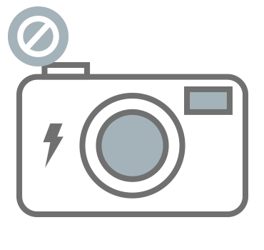 icono-flash